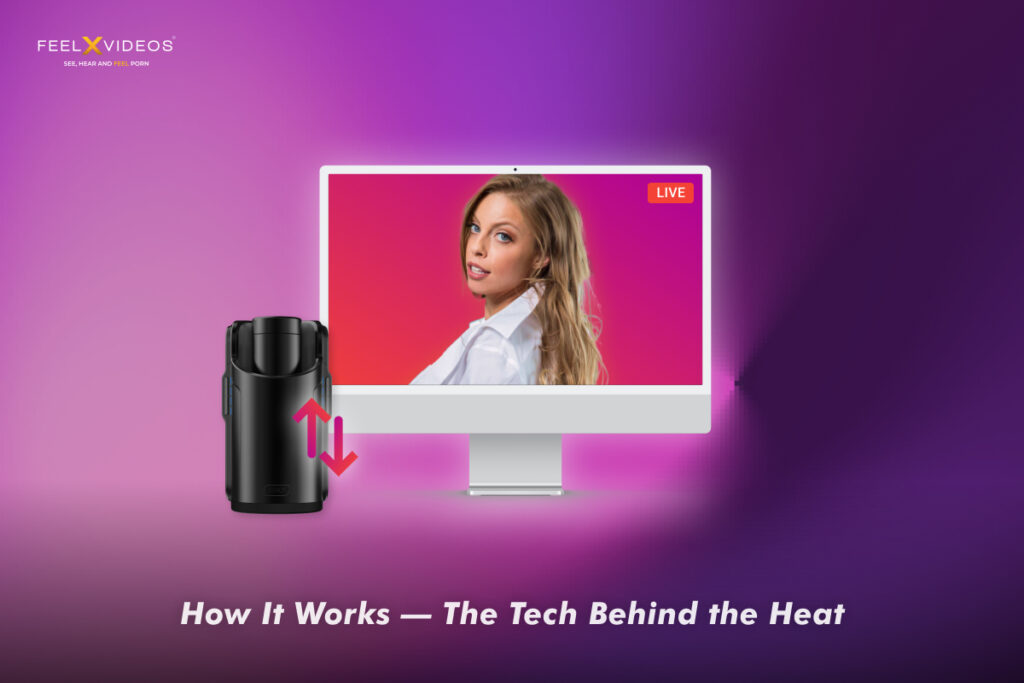 How does the Live Interactive show work